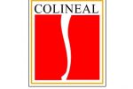 (1) Colineal